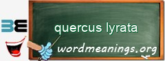 WordMeaning blackboard for quercus lyrata